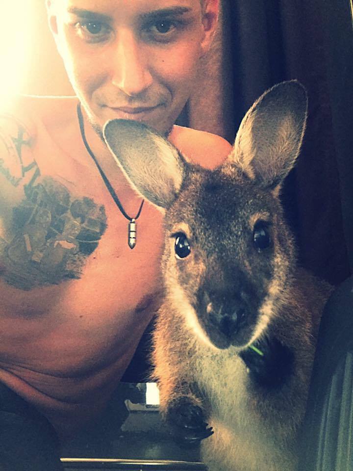 Un tânăr din Cluj crește un cangur ca animal de companie. Din Australia, Rin s-a adaptat în inima Transilvaniei