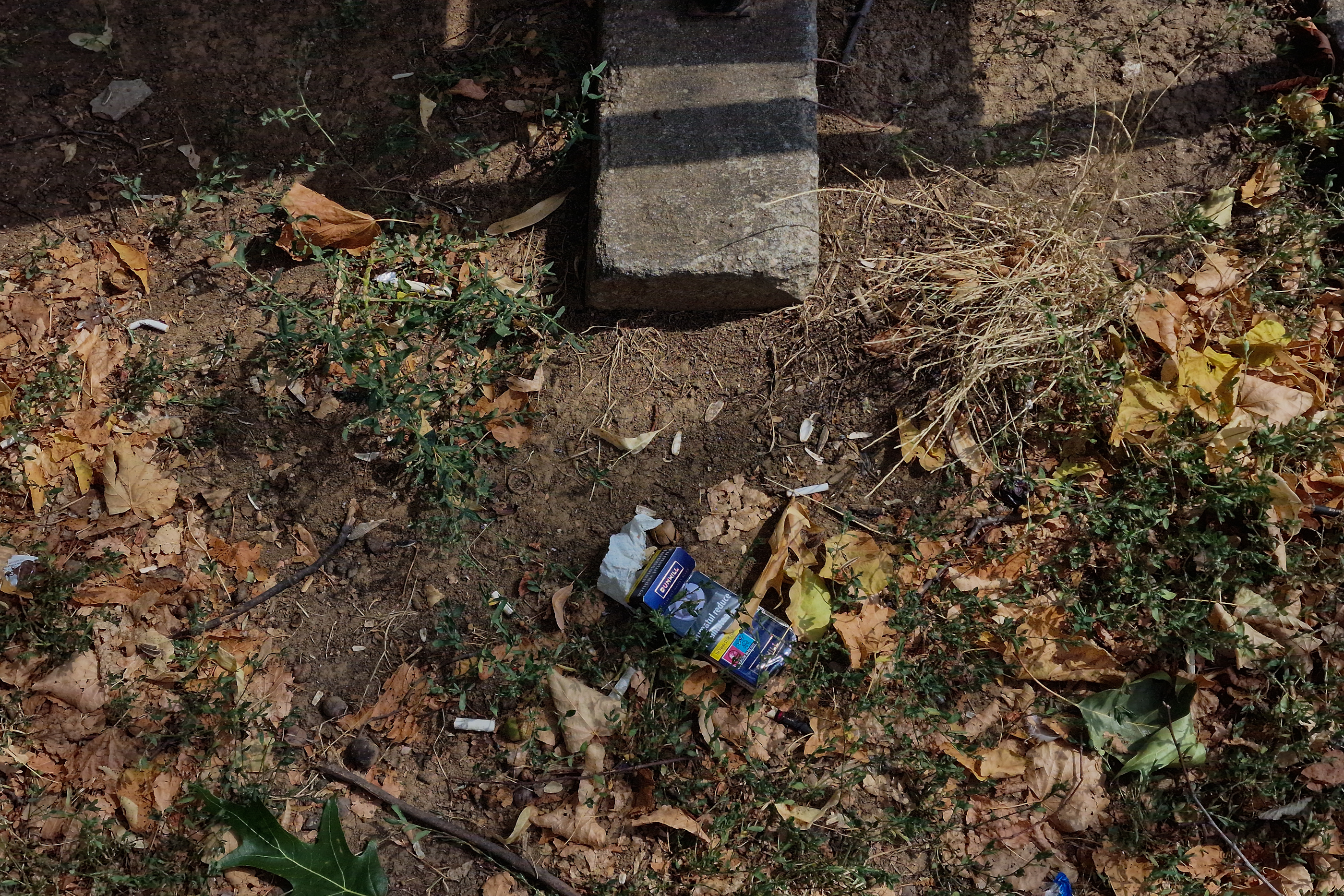 FOTO. În Parcul Circului din București, toată iarba e pârjolită. Rezistă, în schimb, gunoaiele