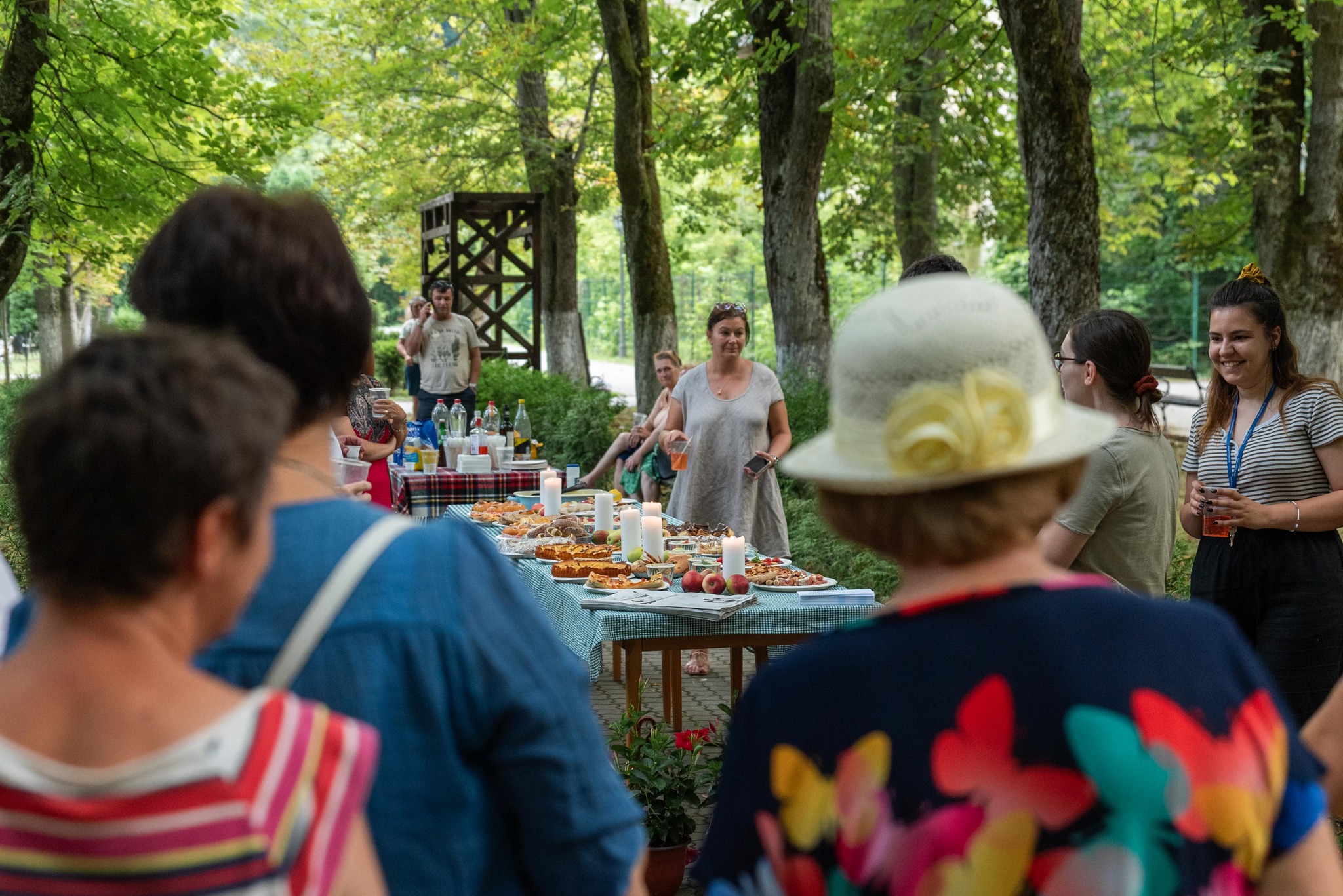 Cultura și istoria balneară românească - Experiența de la Băile Govora