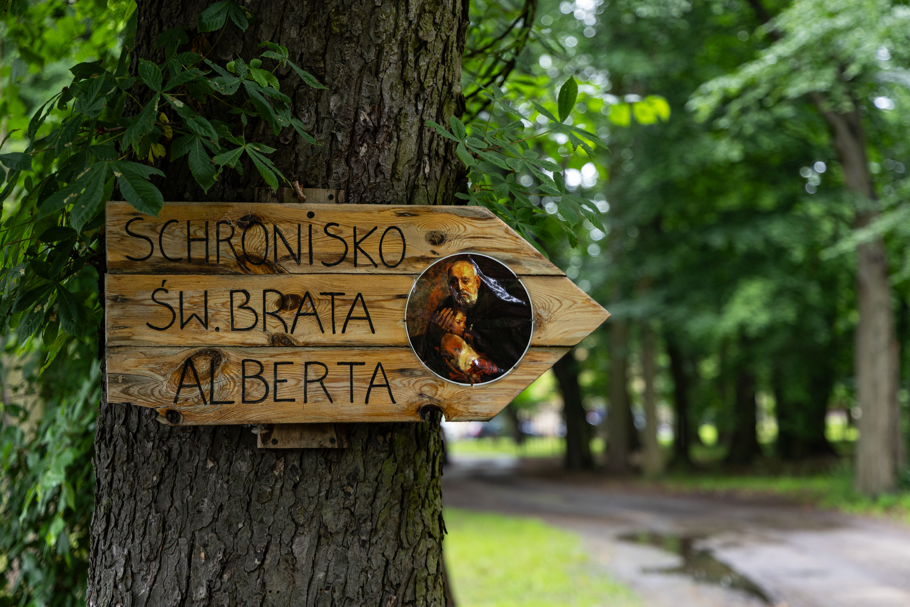 Kury, koguty i kaczki ze schroniska znalazły nowy dom