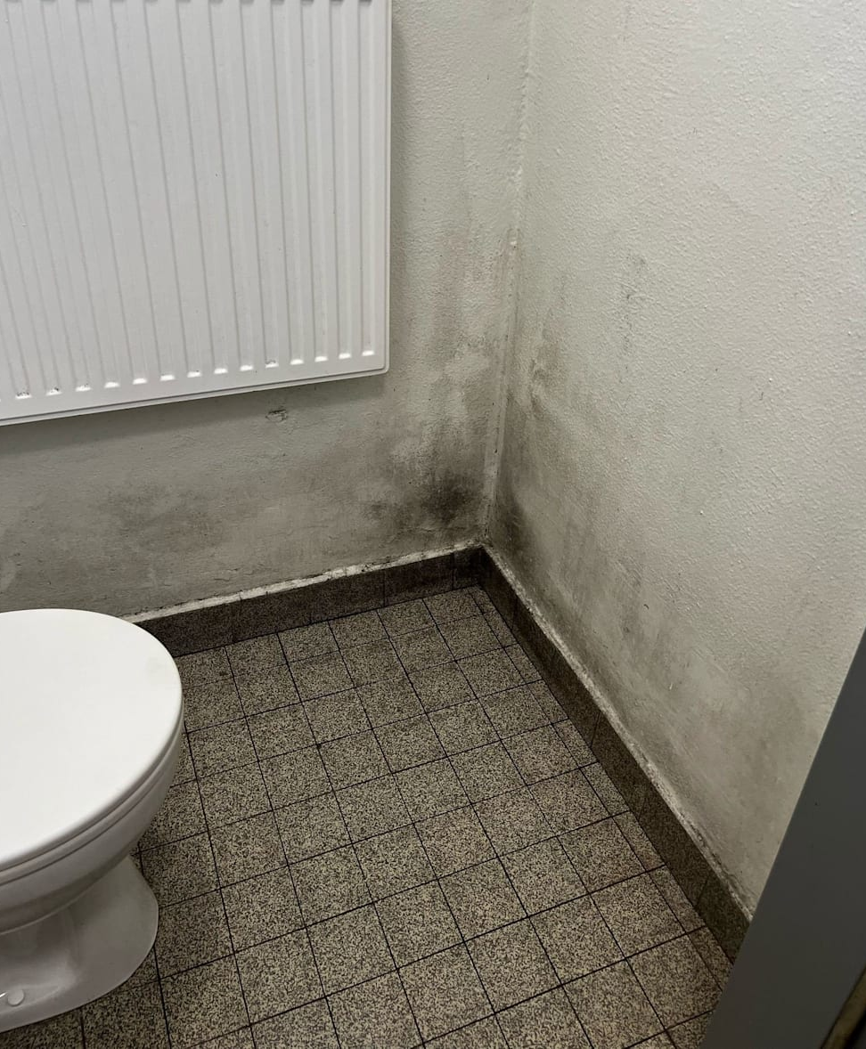 Imagini de necrezut din secțiile de poliție în care lucrează zi de zi agenții germani: „Zona morții”
