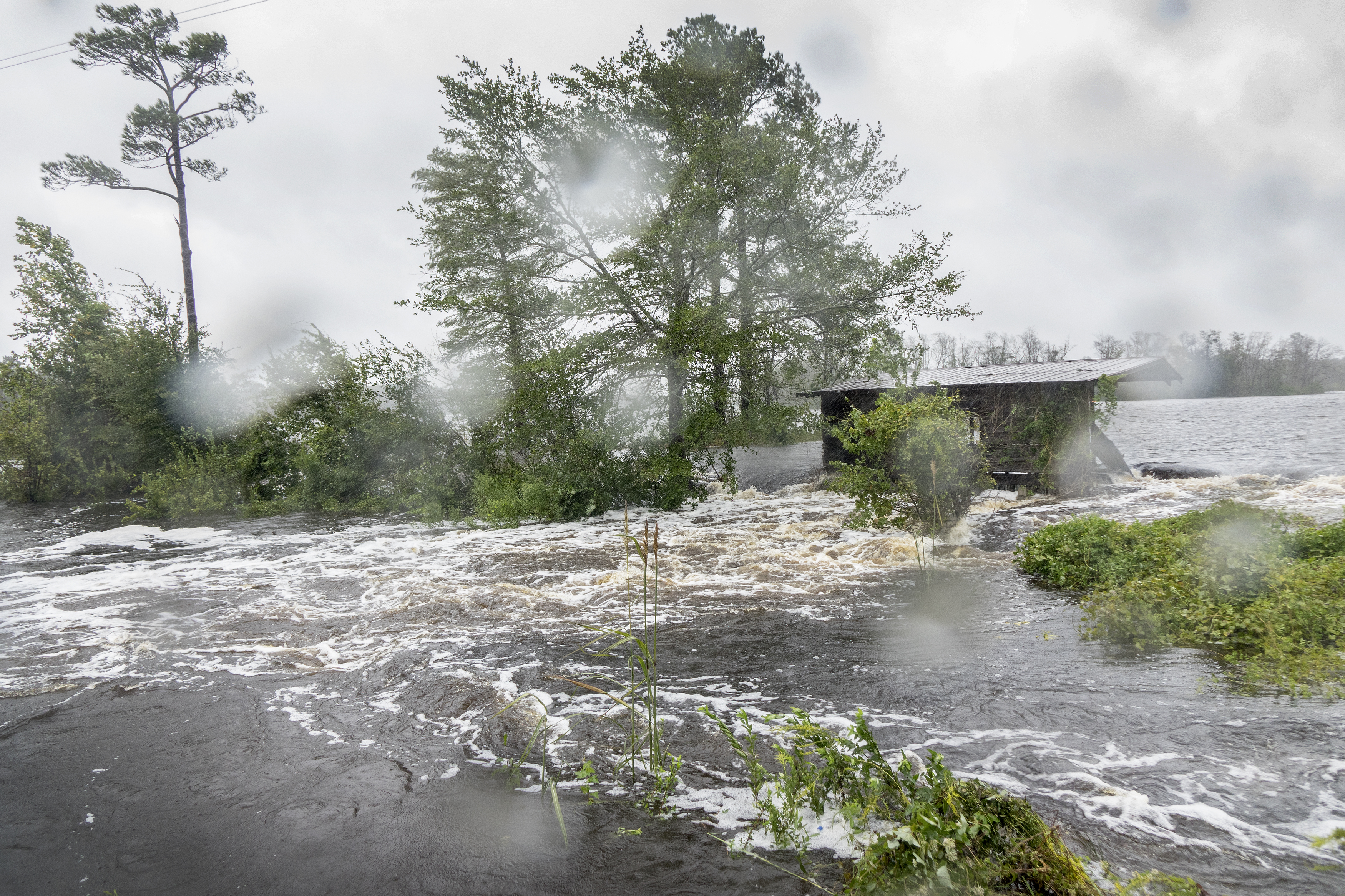 Cel puțin 13 persoane au murit în primele două zile după ce uraganul Florence a lovit coasta americană