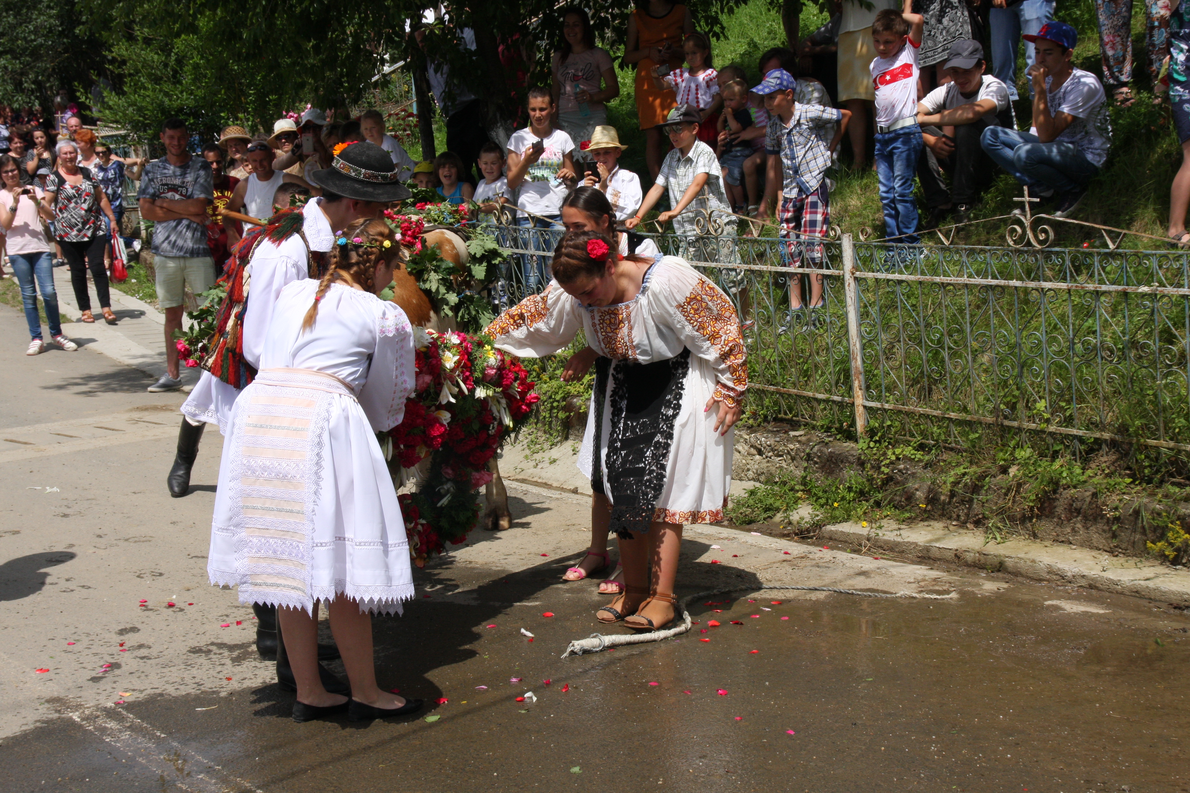 Val de nunţi la Figa după ce fetele au prins boul de Rusalii | GALERIE FOTO
