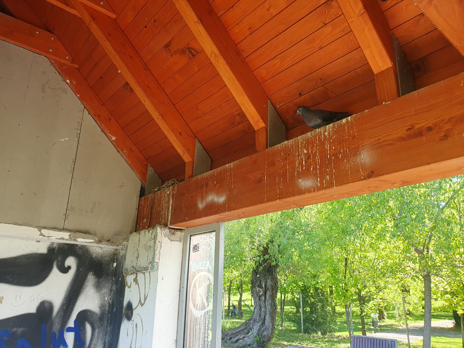 Apocalipsa din Parcul Tei: complexul de distracții abandonat, bănci vandalizate, munți de gunoaie, pontoane devastate. Pericol iminent de tragedii!