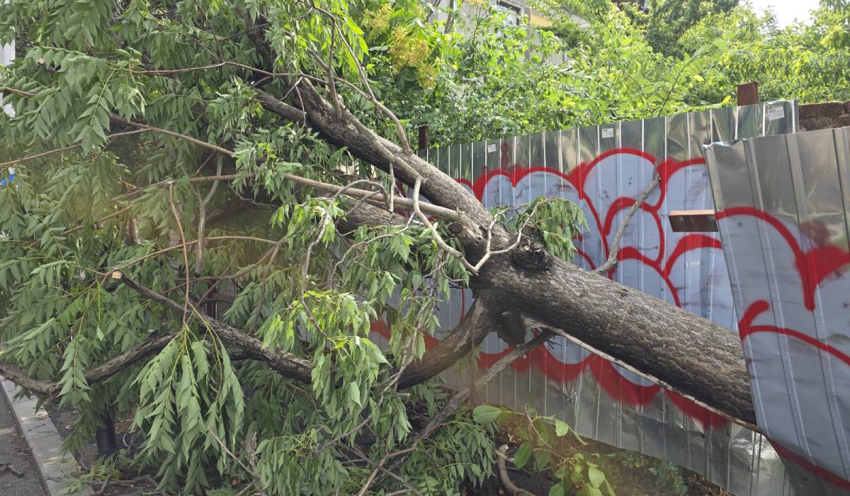 Dezastru după furtuni: București este sub ape iar aproape 30.000 de oameni din 65 de localități sunt fără curent. Pompieri din 9 județe vin în ajutor