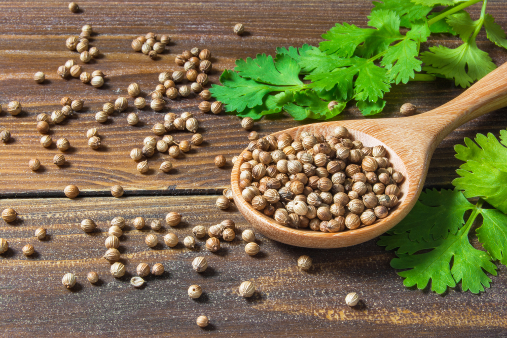 Coriandru - beneficii pentru organism. Cum se consumă și cu ce alimente se asociază