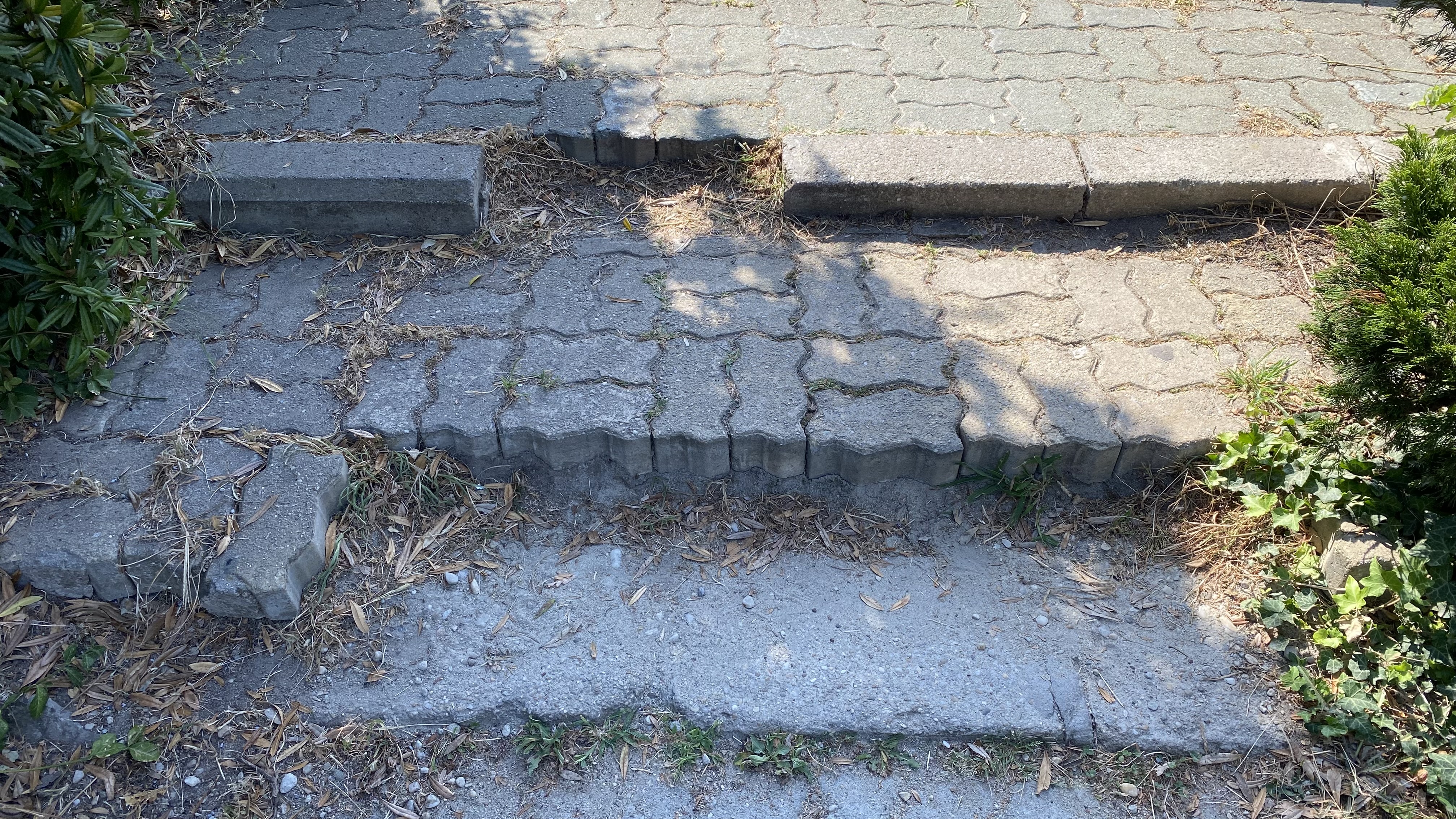 FOTO. Herăstrău, cel mai mare parc al Bucureștiului, arată mai rău ca niciodată. Trandafirii și zonele cu flori sunt istorie, clădirile pentru expoziții au fost vandalizate