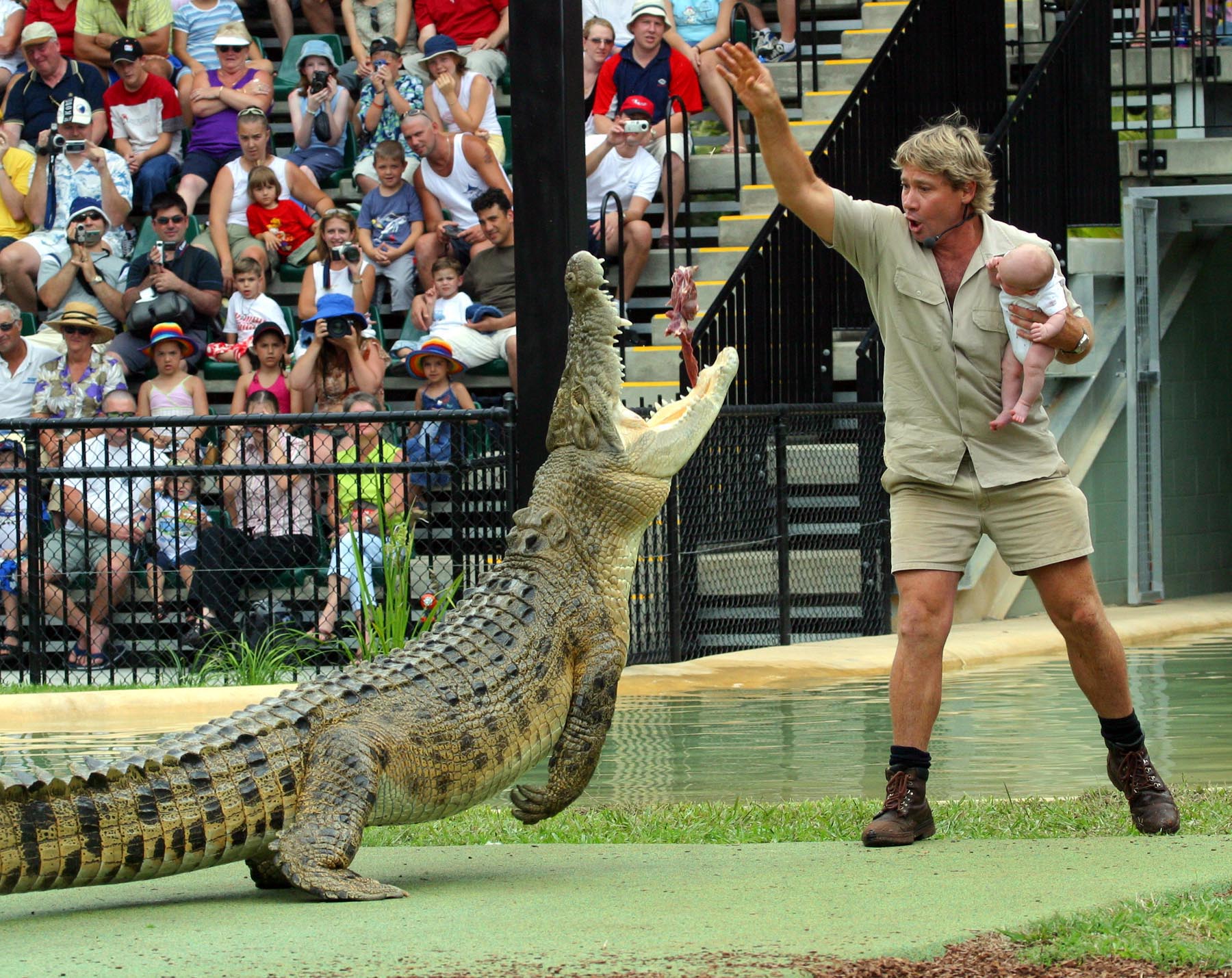 Google îl celebrează pe Steve Irwin. Vânătorul de crocodili ar fi împlinit 57 de ani