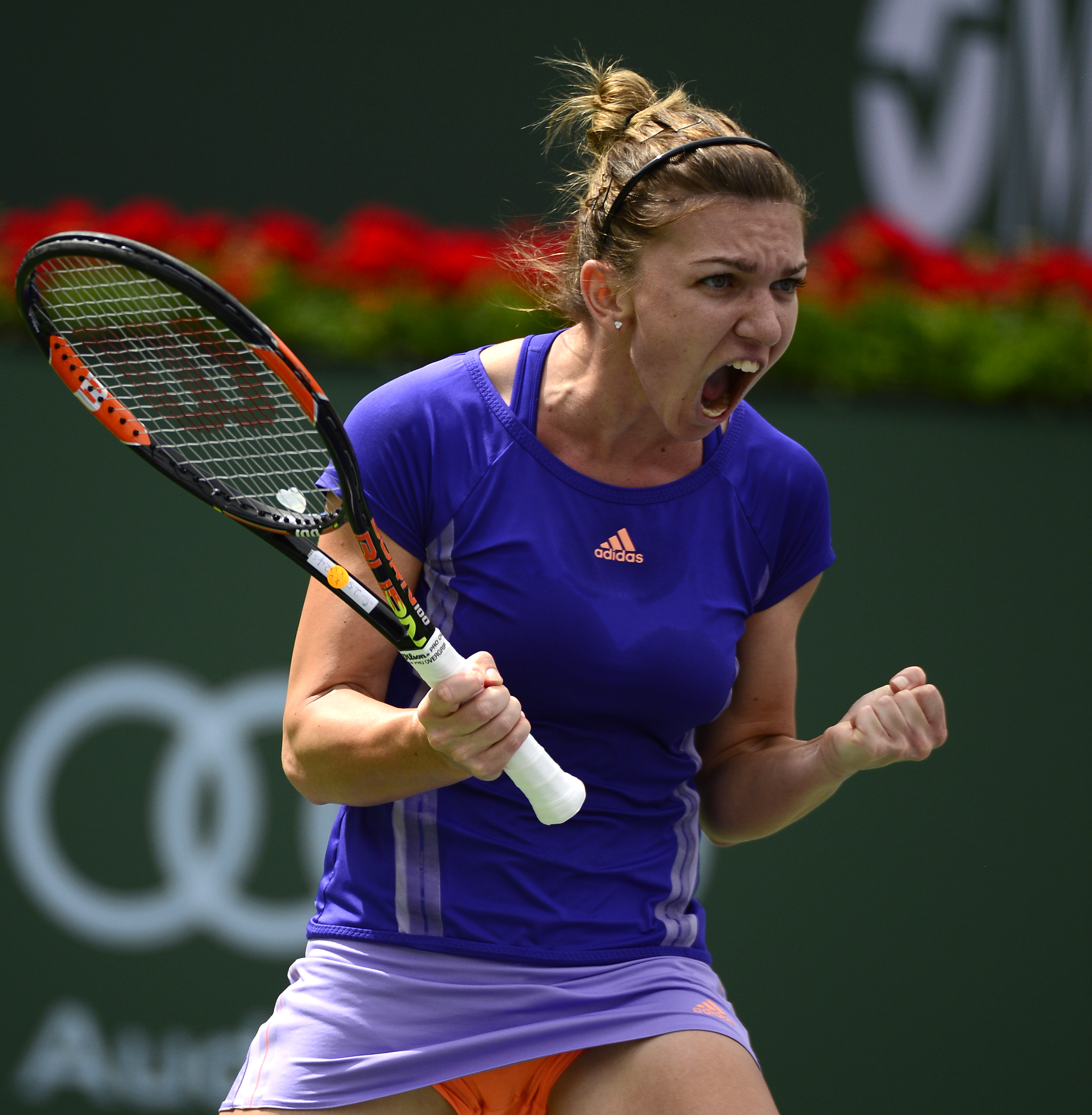 Țiriac o urmărește peste tot pe Halep. O face numărul 1 pe Million $ Baby?