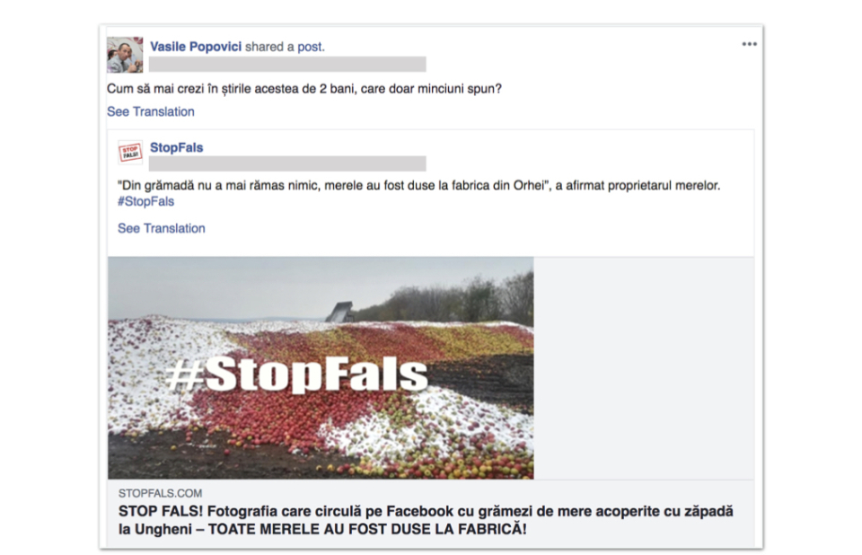 Facebook a șters sute de conturi false înainte de alegerile din Republica Moldova