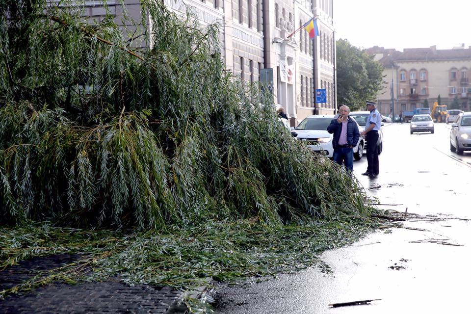 FOTO & VIDEO | Prăpăd după furtună în Cluj. Imaginile dezastrului, publicate de primarul Emil Boc