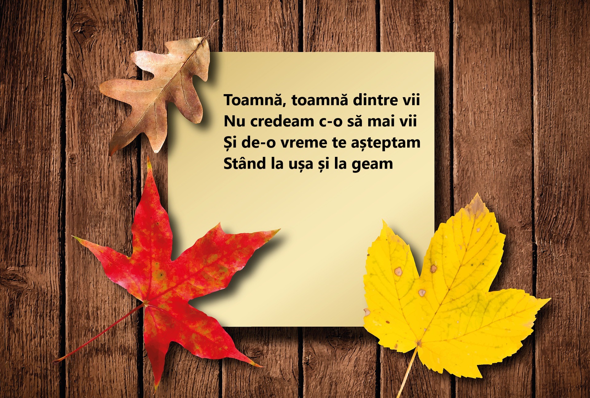Poezii de toamnă - cele mai frumoase poezii de citit în această toamnă