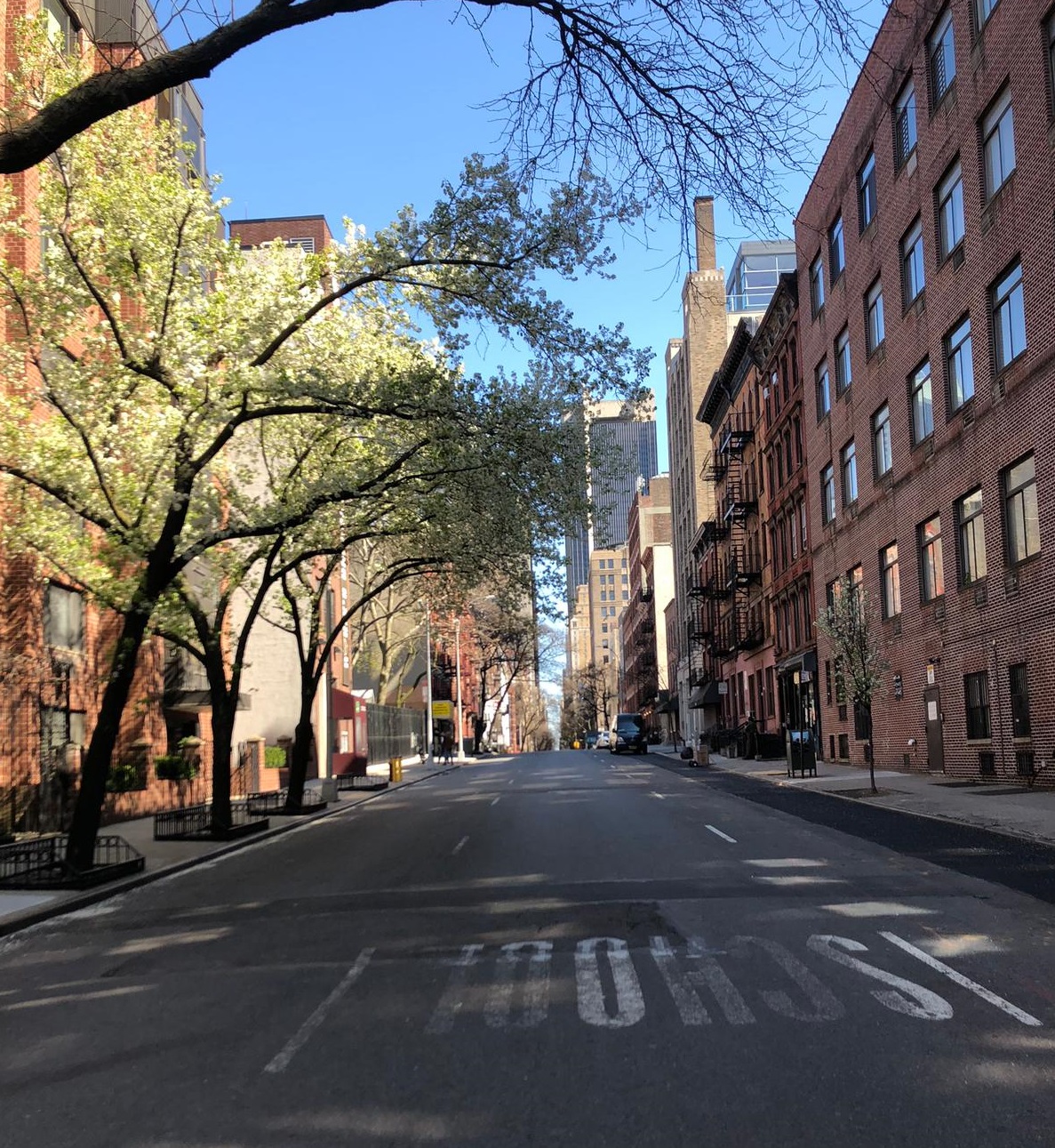 Orașul american în care au murit 309 oameni sub 45 de ani și s-au scos până și coșurile de baschet. Corespondență din New York, epicentrul mondial al pandemiei COVID