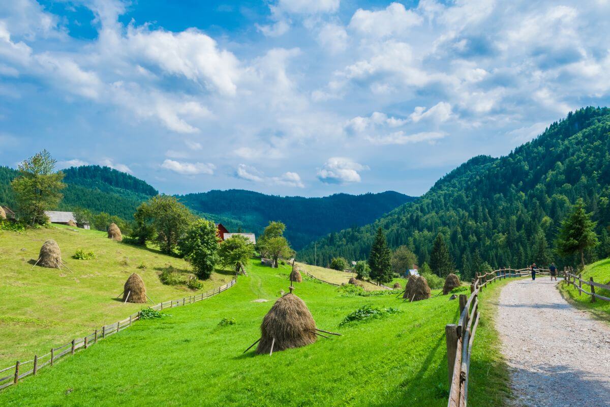 Munții Apuseni - Cele mai frumoase trasee și localități de vizitat
