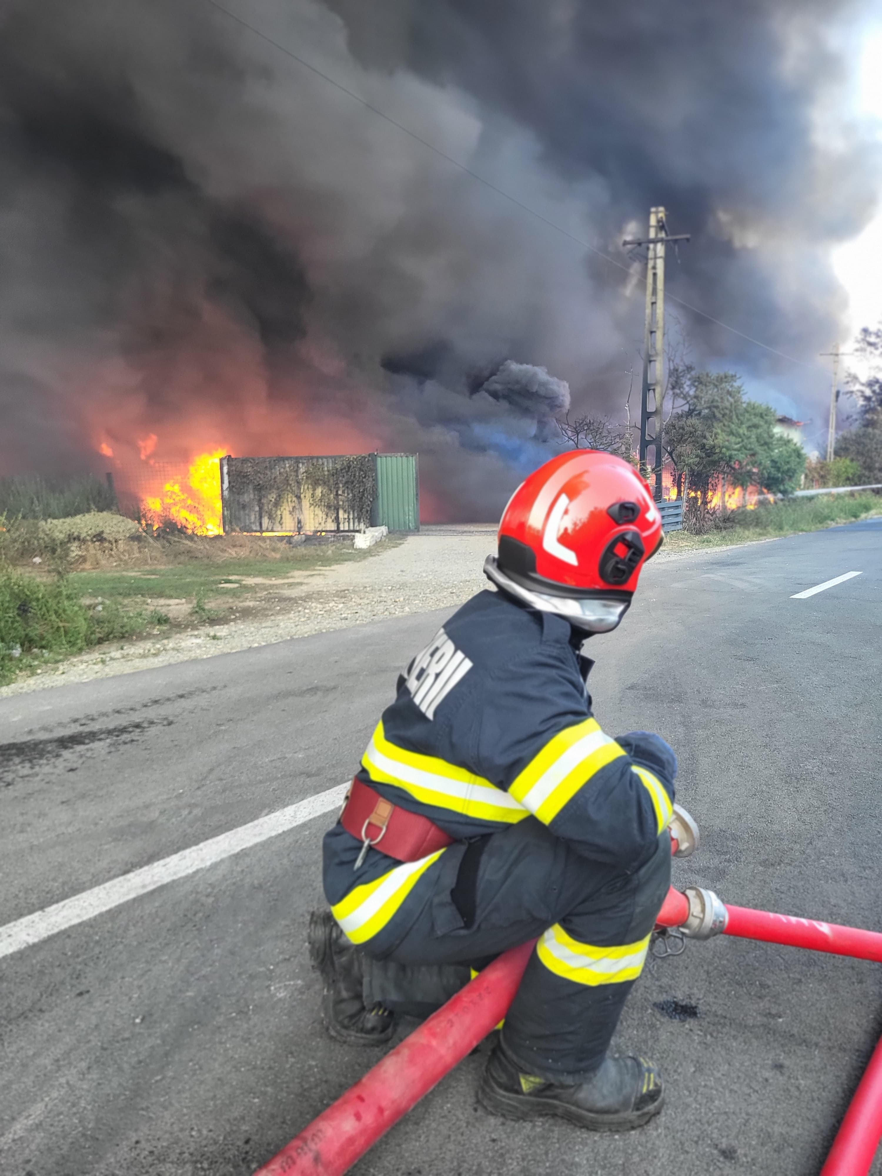 Mesaj RO-Alert, emis după ce zeci de hectare de vegetație uscată din Giurgiu și Mehedinți au fost cuprinse de flăcări