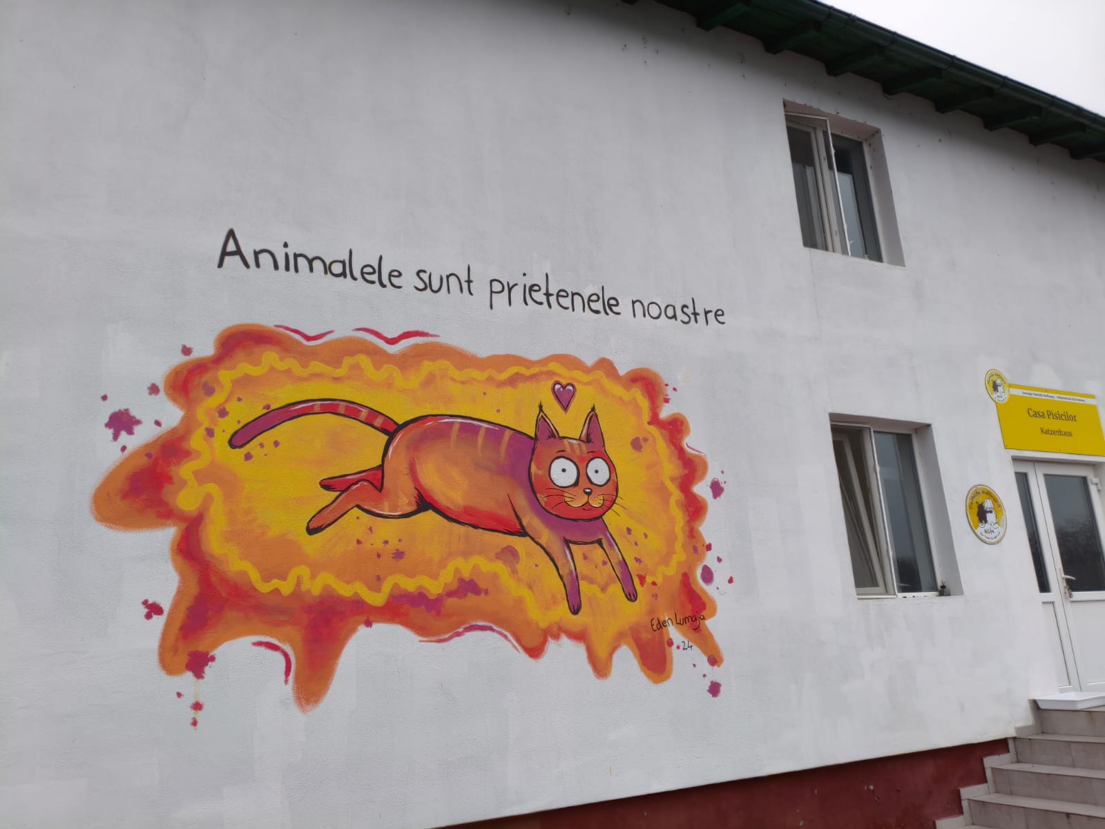 Orașul câinilor. Localitatea din România care a ajuns să găzduiască cel mai mare adăpost din lume dedicat animalelor fără stăpân