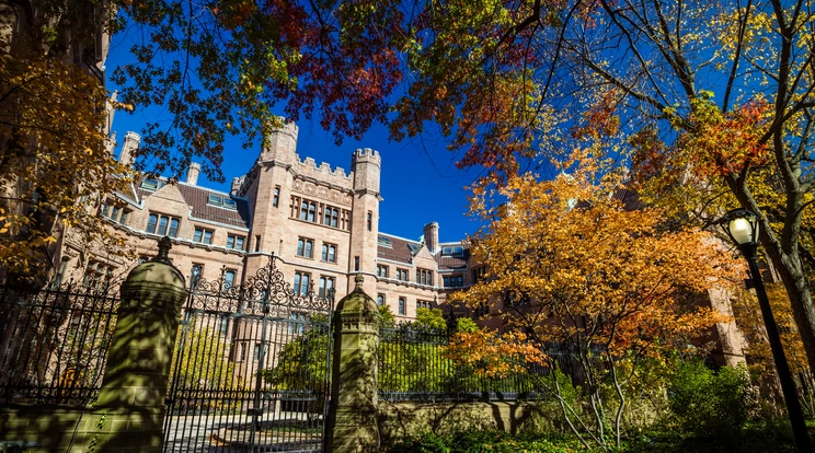 Hatalmas siker! Első magyarként nyert felvételt a világhírű amerikai egyetem színművészeti mesterképzésére Ilosvai Dorottya: ilyen sztárok nyomdokába léphet