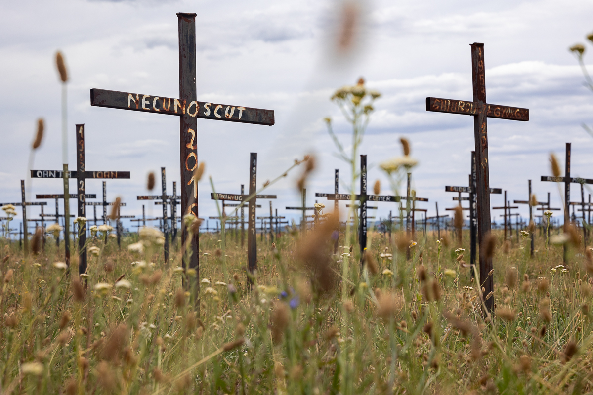 Cimitirul cu necunoscuți din Dumbrava. Viorel Pașca: „Toată lumea, indiferent de religie, are cruce la fel. Ca să nu se supere niciunul”