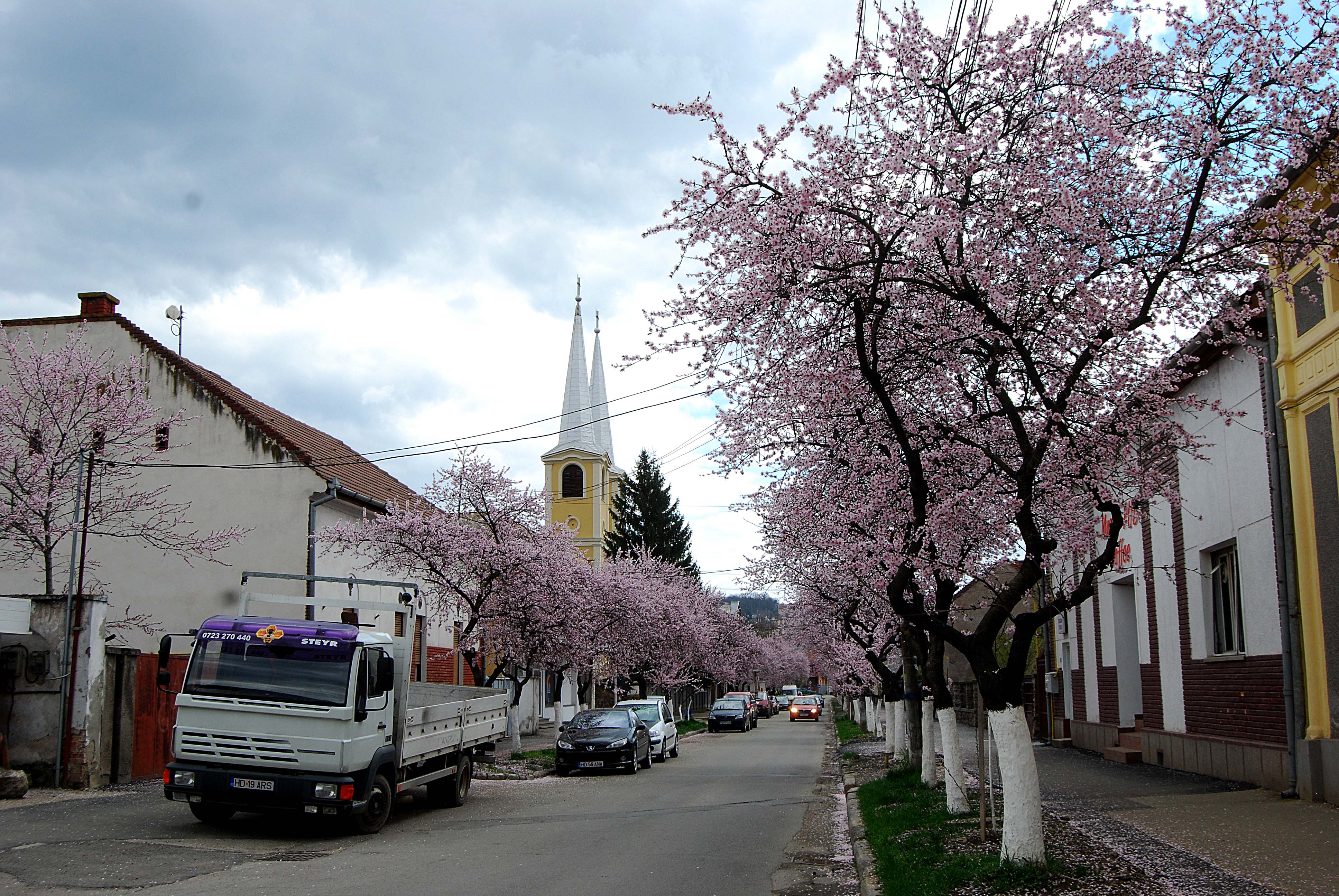 Este aceasta una dintre cele mai frumoase străzi din România? Imagini desprinse parcă din povești! GALERIE FOTO
