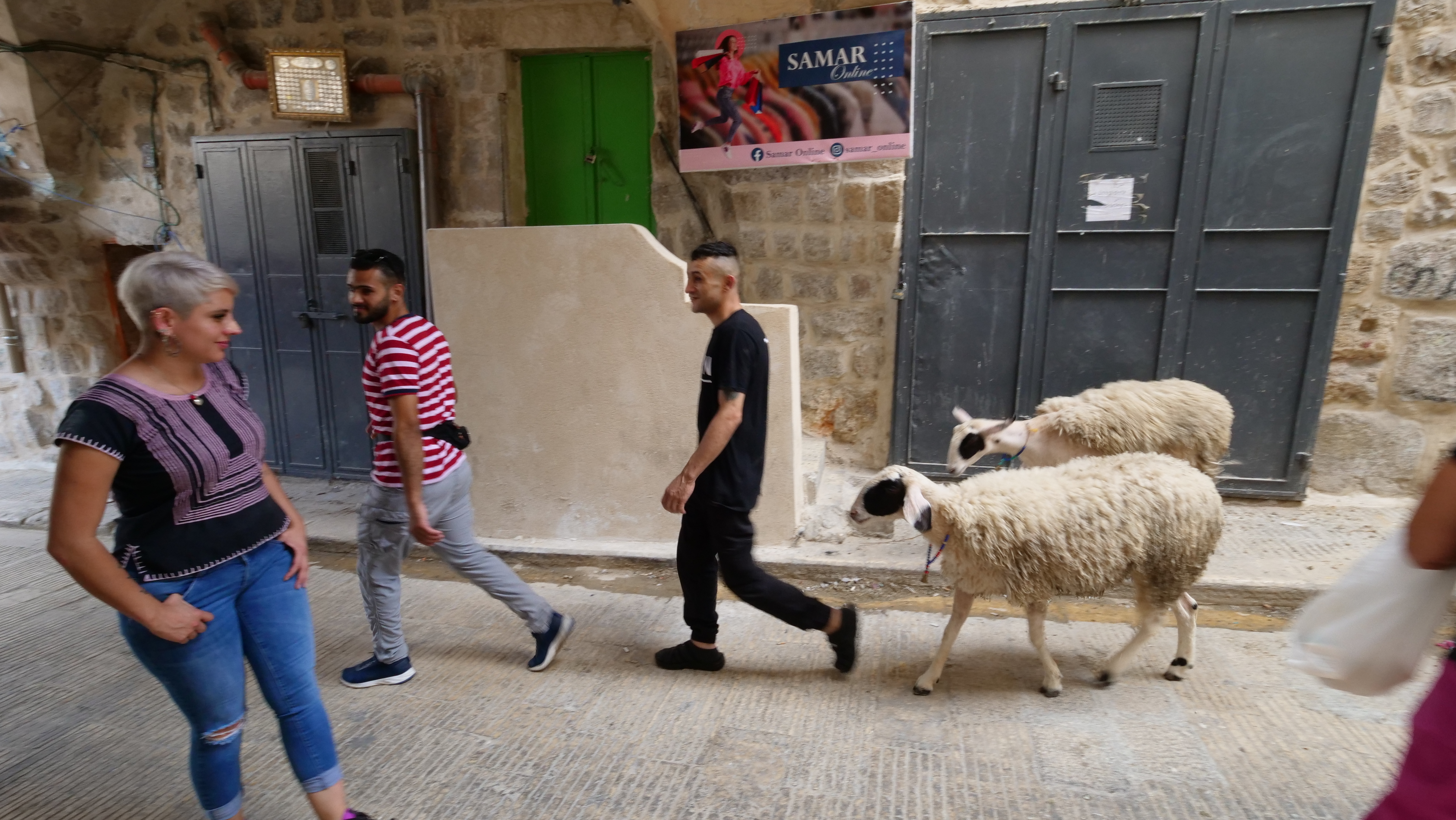 CORESPONDENȚĂ DIN PALESTINA. Viața și moartea în două orașe devastate de conflictele militare. Rezistența „martirilor”, acte de terorism pentru israelieni