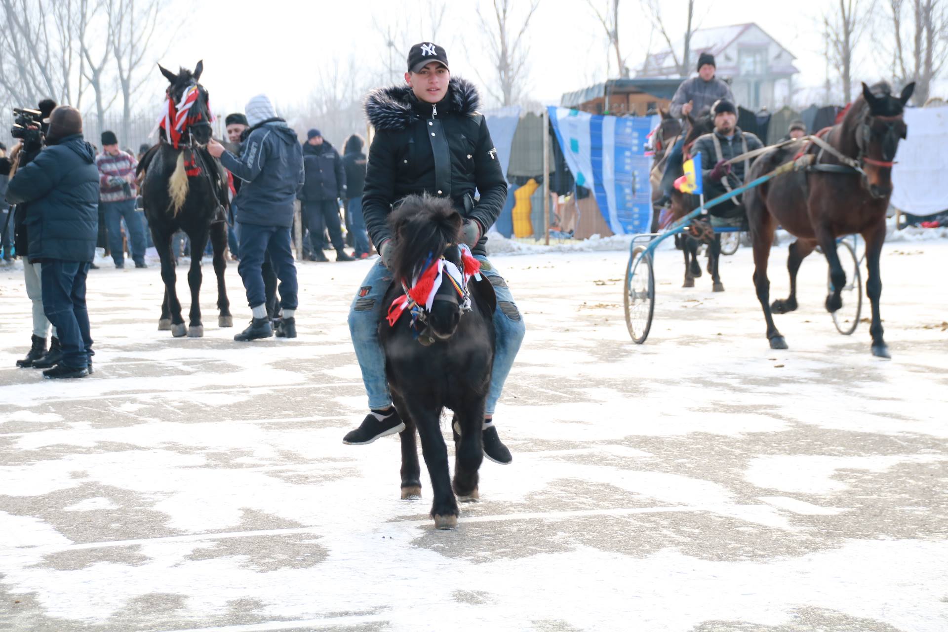REPORTAJ: Localnicii din orașul lui Nea Mărin şi-au botezat caii pentru a-i feri de boli. Imagini superbe cu cei mai frumoși cai/ GALERIE FOTO