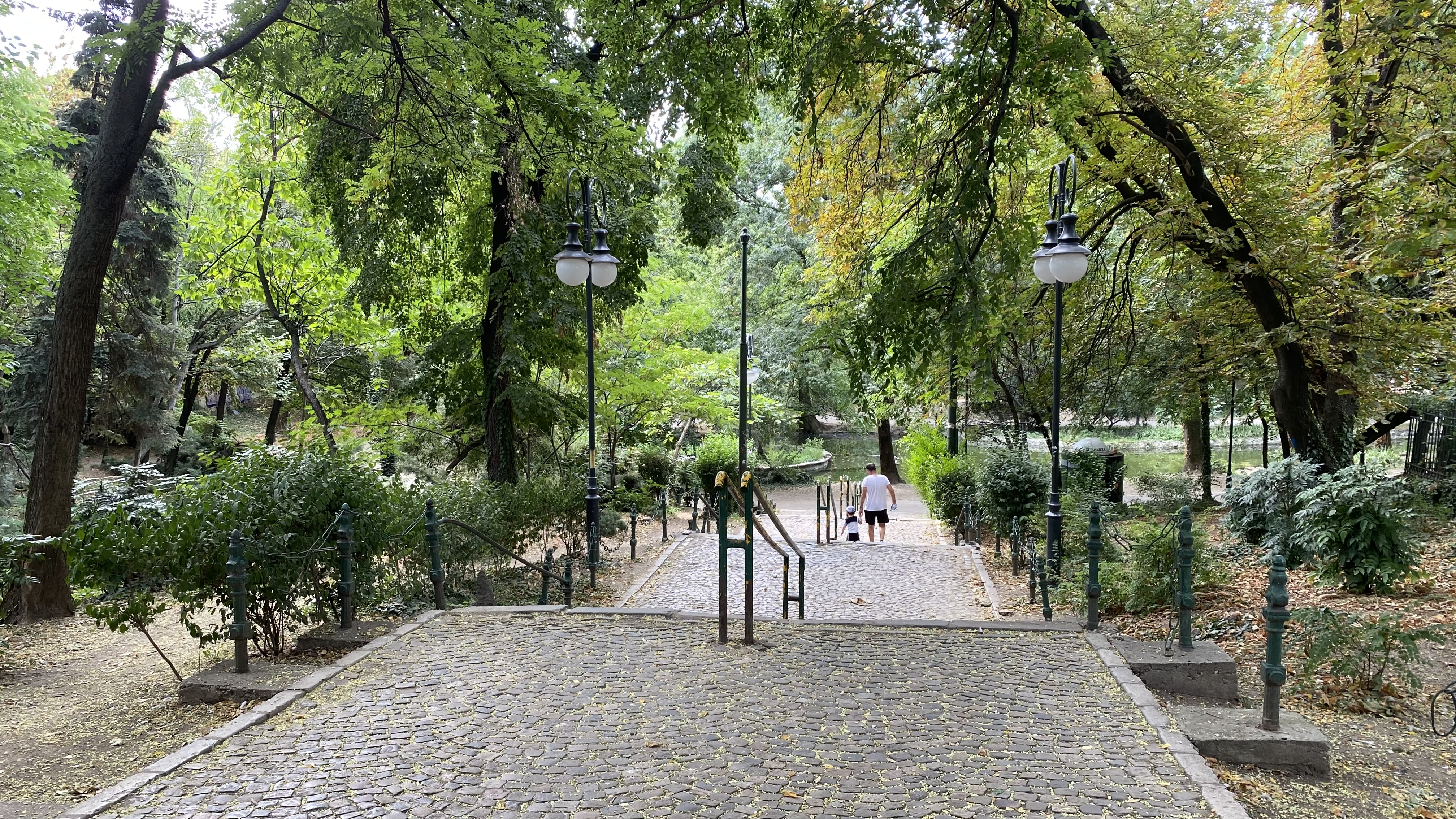 Cișmigiu, mândria tristă a Bucureștiului: pământ în loc de iarbă, alei distruse, garduri rupte și mirosuri insuportabile