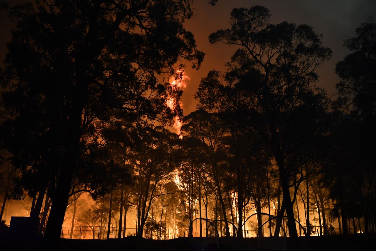 Incendii devastatoare în Australia. Orașul Sydney, învăluit într-o ceață toxică. Imagini dramatice