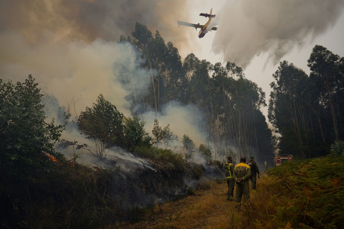Șapte morți, între ei trei pompieri, și 40 de răniți, în incendiile de vegetație din Portugalia. Guvernul a declarat situație de „calamitate”