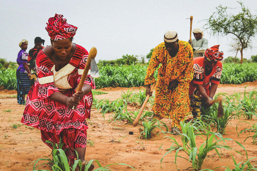 The creation of APSA-Sahel comes at a critical time for the AES, as the seed alliance represents a deeper move toward agricultural and economic self-reliance