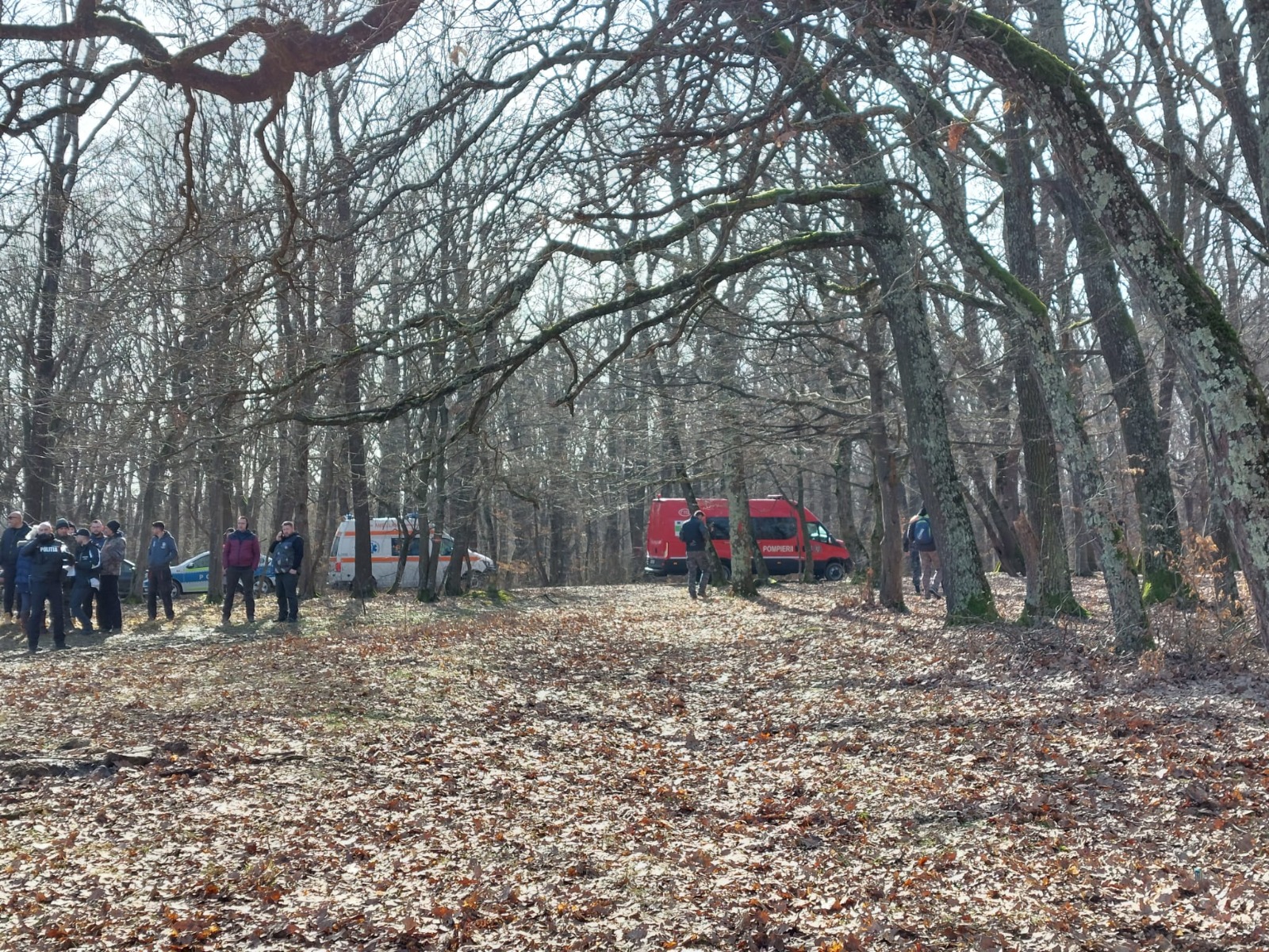 Studentă din Sibiu, dispărută de aproape o lună, căutată cu drone și peste 350 de oameni. Ce știu autoritățile