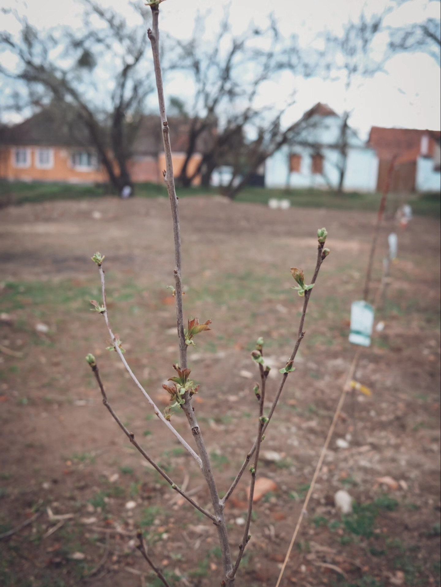 Noi imagini cu casa de la Viscri a Danei Rogoz. Cum a amenajat interiorul. „Duminică seara am ajuns. Renovarea continuă în curte”