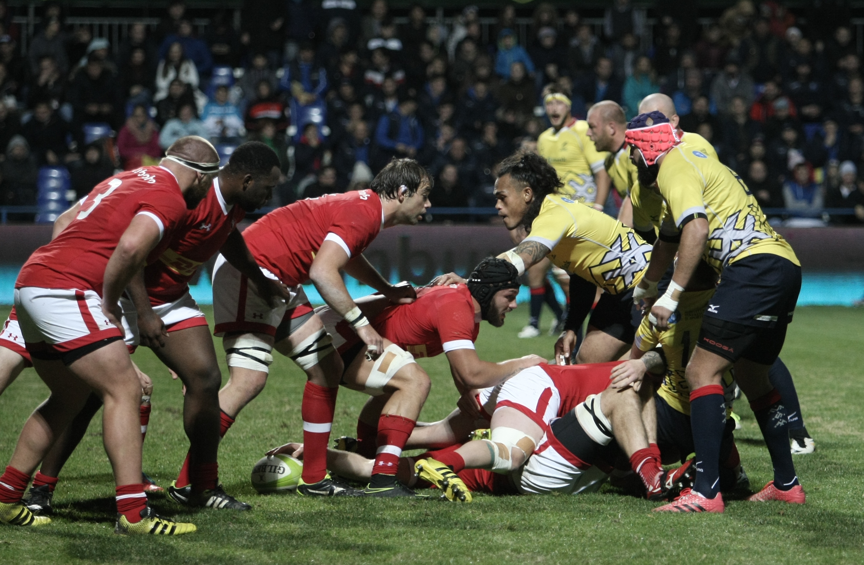 România a învins Canada la rugby. Fanii români au sărbătorit pe teren cu ”stejarii” și cu ”arțarii” | FOTO