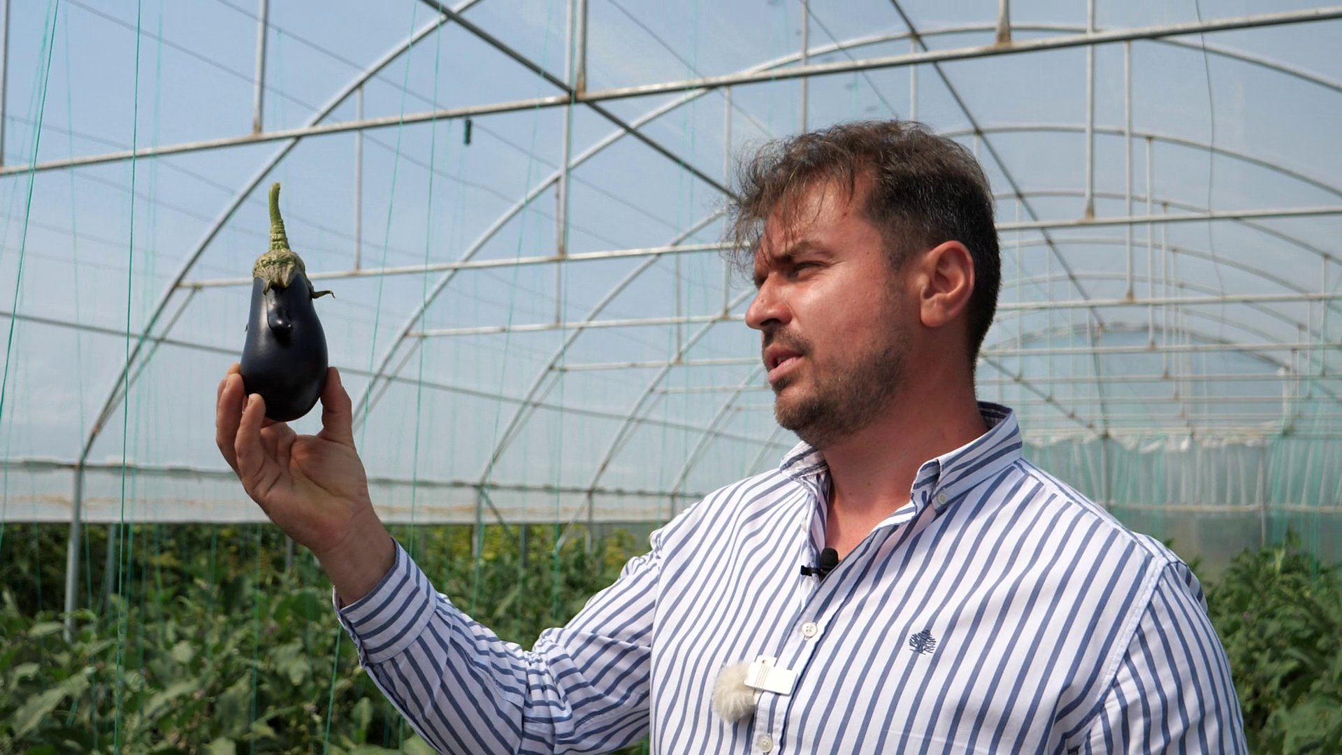Ciprian Tătărușanu s-a apucat de agricultură și cultivă ardei iuți, dovlecei și vinete pe o suprafață de 10 hectare, în județul Dâmbovița