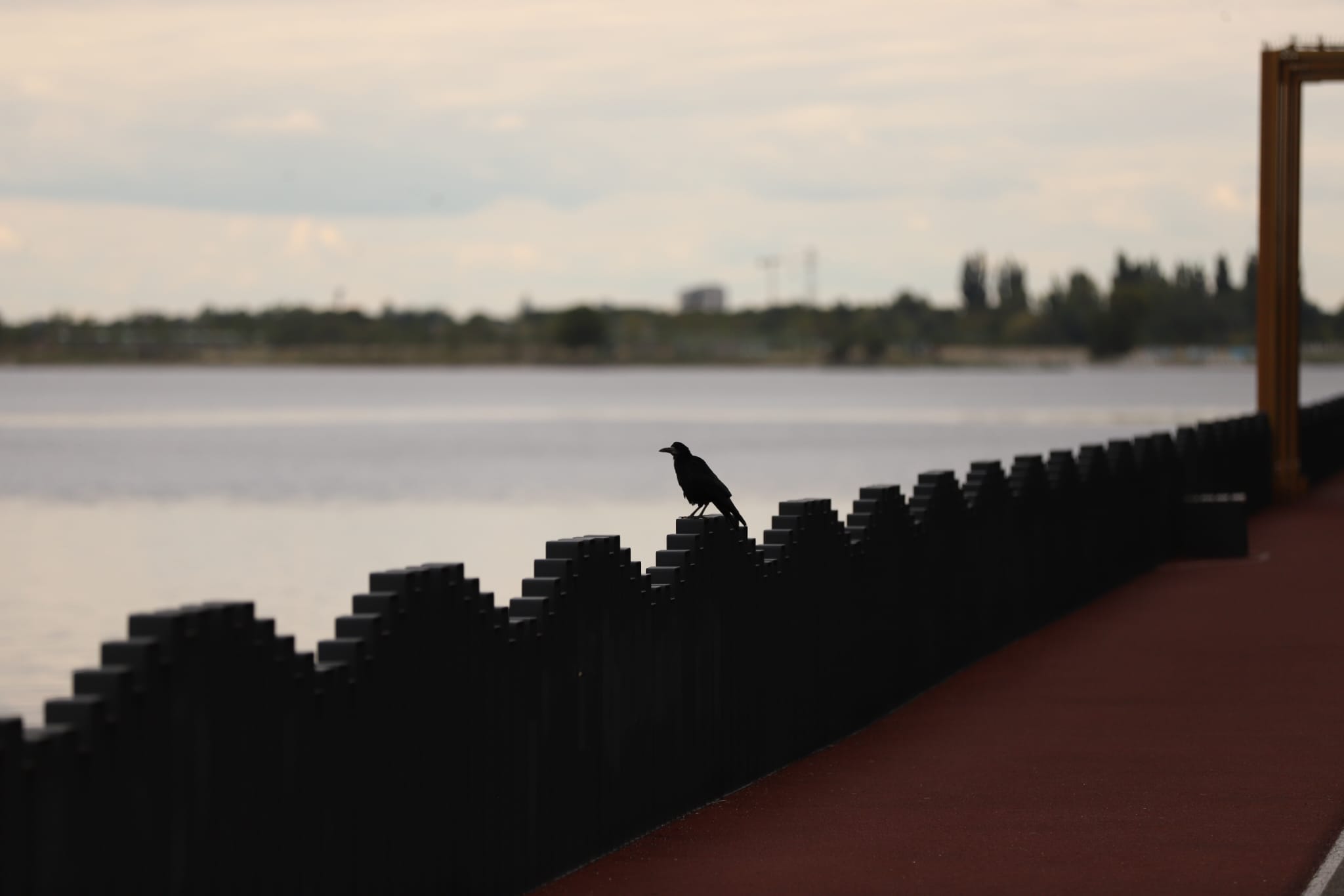 Insula Lacul Morii se deschide oficial bucureștenilor după o investiție spectaculoasă de 59 de milioane de lei 