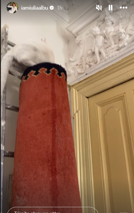 Cum a ajuns să arate casa Iuliei Albu, în plin proces de renovare. „Este imposibil de locuit. Lucrările vor dura un timp egal cu veșnicia”