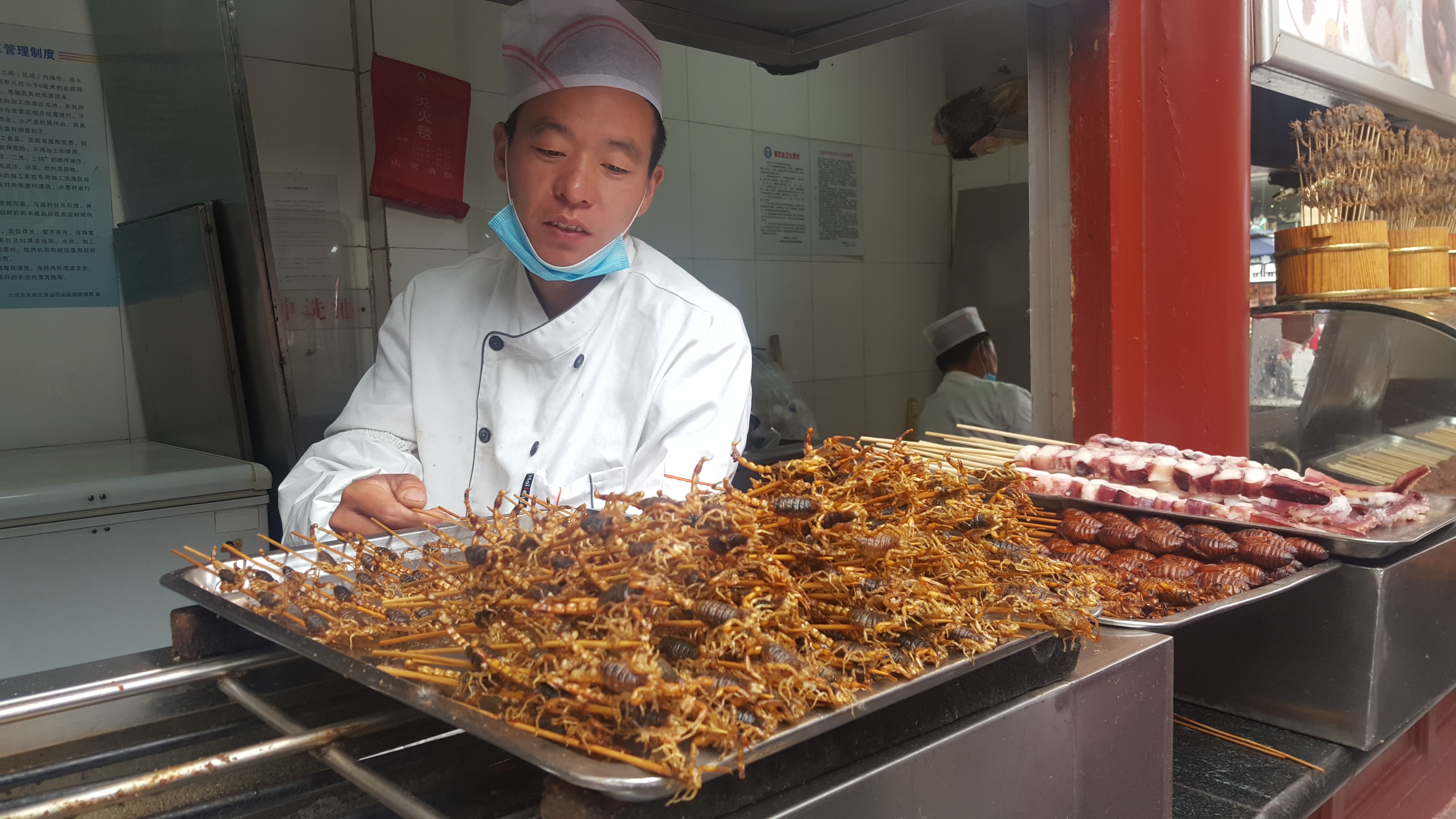 CORESPONDENȚĂ DIN SICHUAN și BEIJING, ULTIMUL CAPITOL | Scriitoarea Doina Ruști, despre plimbarea pe strada unuia dintre cei mai importanți poeți chinezi și excursia la Marele Zid
