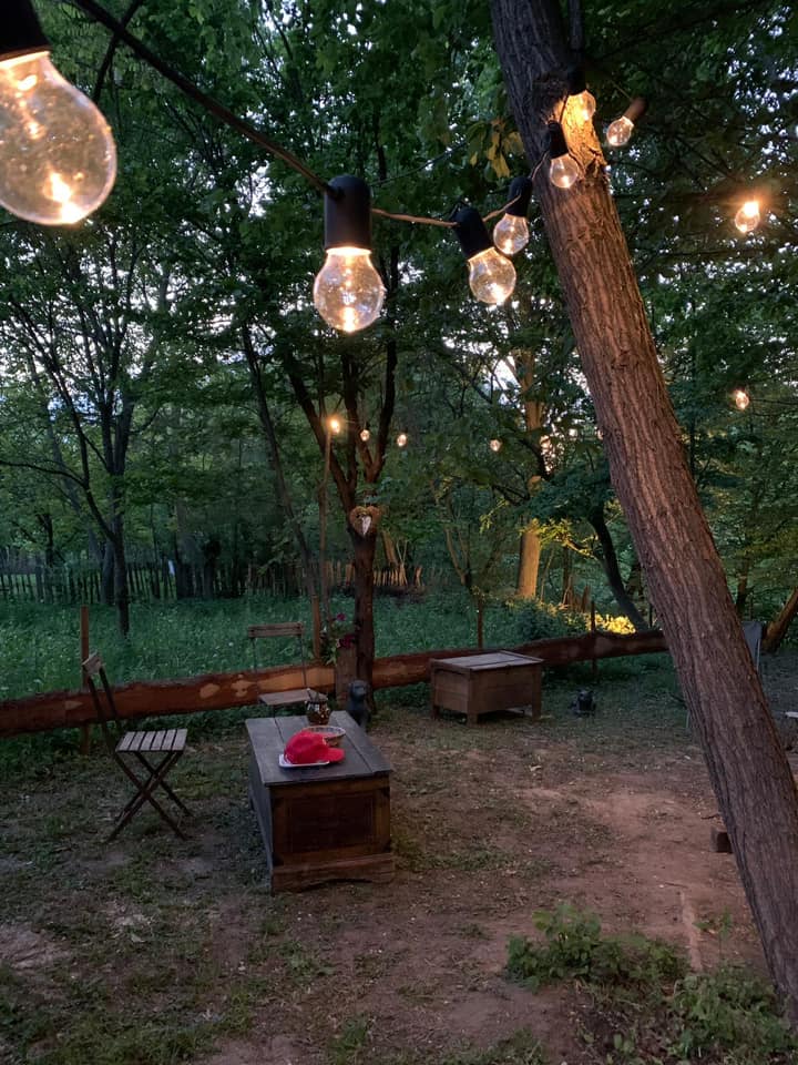Cum arată cabana din pădure a Mihaelei Bilic după ce i-a pus acoperișul. Și-a amenajat și curtea, unde are hamac