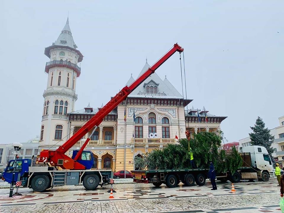 VIDEO&FOTO/ Bradul de Crăciun de la Buzău, donat de un localnic nevoit să-l taie: "Când s-au apropiat cu drujba de el, mi-au dat lacrimile"
