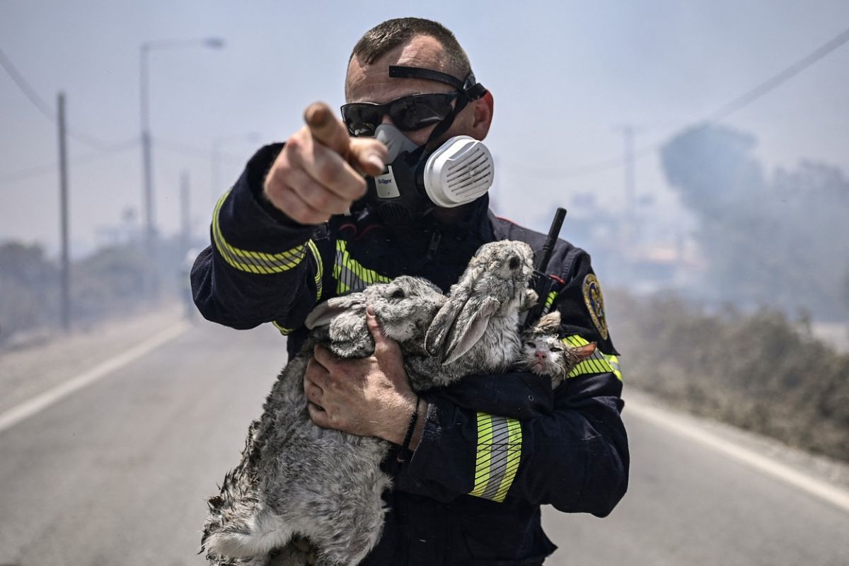 Imagini video emoționante cu pompierii români ovaționați în Grecia: „Luptă de parcă incendiile ar pune în pericol casele lor”