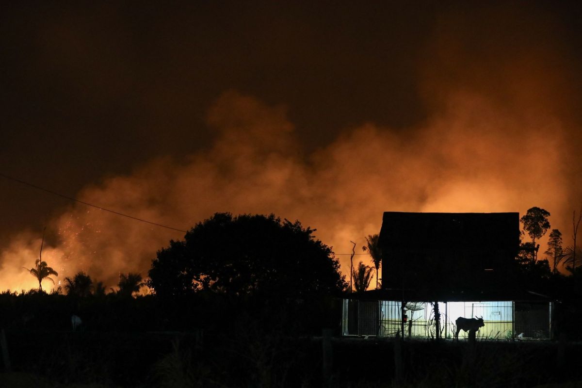 Șapte morți, între ei trei pompieri, și 40 de răniți, în incendiile de vegetație din Portugalia. Guvernul a declarat situație de „calamitate”