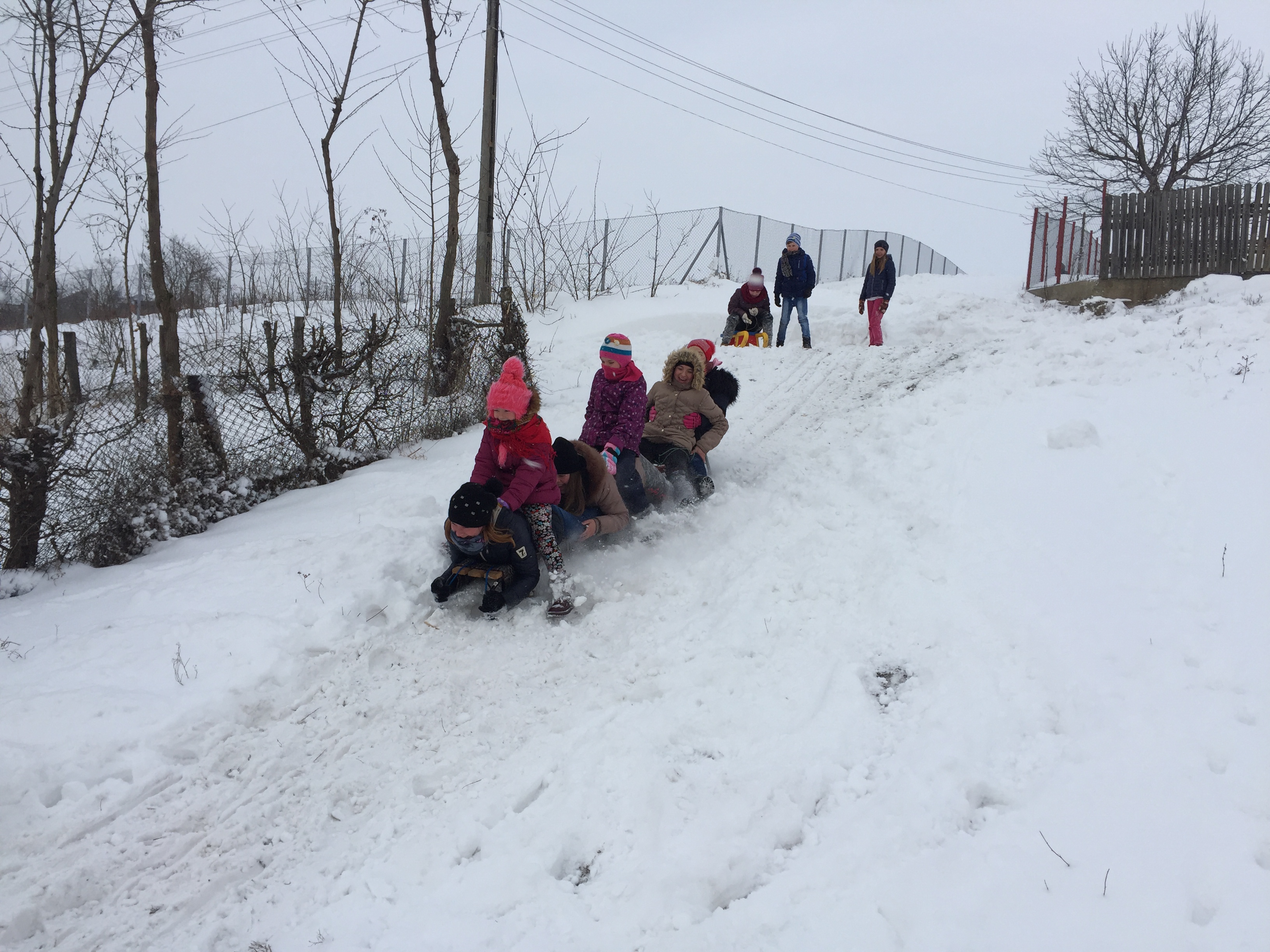 Zăpada a adus bucurie elevilor din Botoșani! Au ieșit la șăniuș în loc să meargă la școală