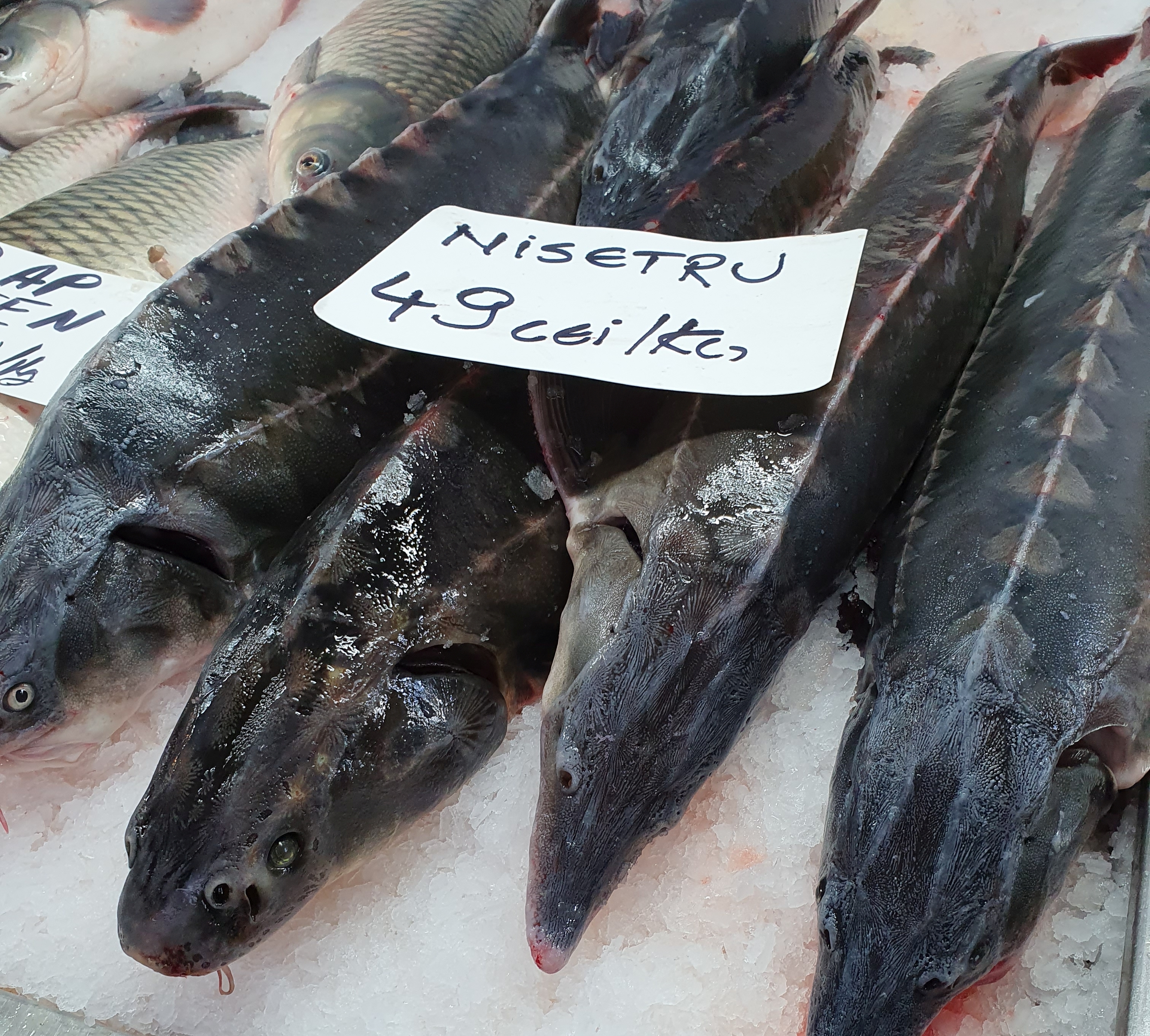 Agitație mare printre tarabe și miros de pește proaspăt: cum arată o zi în Piața Obor înainte de dezlegarea la pește din ziua de Florii. Prețuri pentru toată lumea