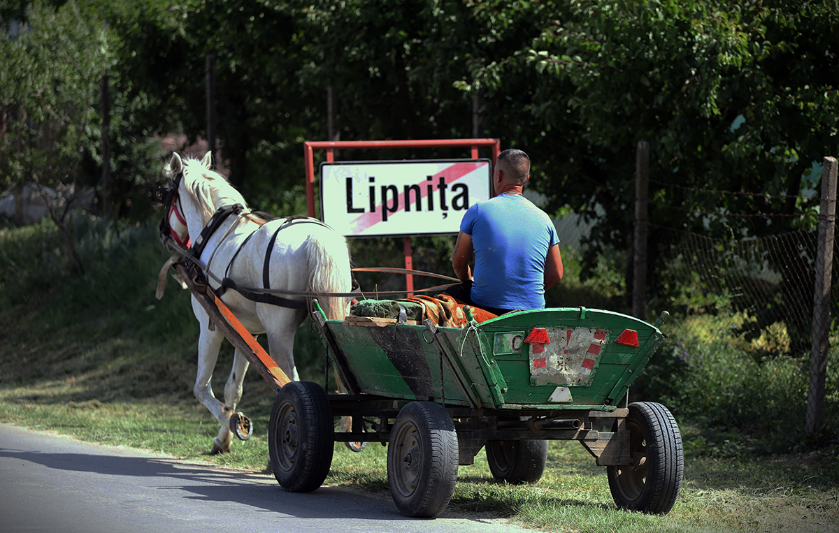 Povestea copiilor din Lipniţa trataţi de râie cu antiparazitar pentru oi. Mama care i-a spălat: „A fost un şampon original pentru noi, am leşinat toţi în casă” 