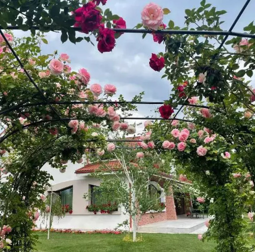 Imagini cu casa în care locuiește Mirela Vaida cu soțul și cei trei copii. Vila din Snagov a prezentatoarei e chiar lângă pădure