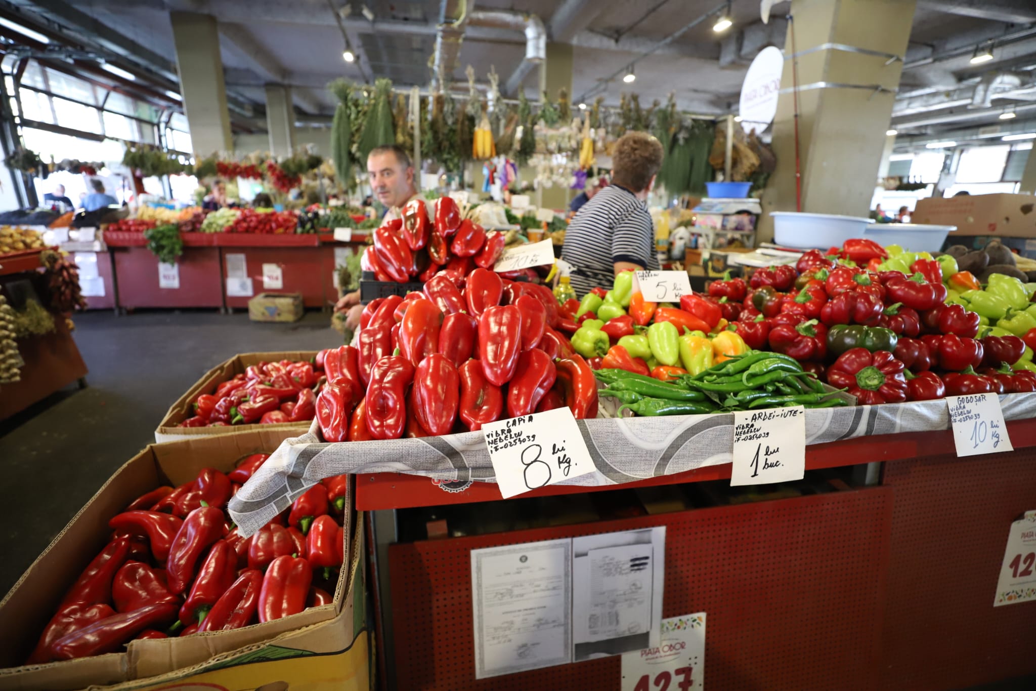 Cât costă să cumperi ingrediente pentru 10 borcane de zacuscă: calculul pentru rețeta tradițională cu vinete, ardei kapia, gogoșari și ceapă