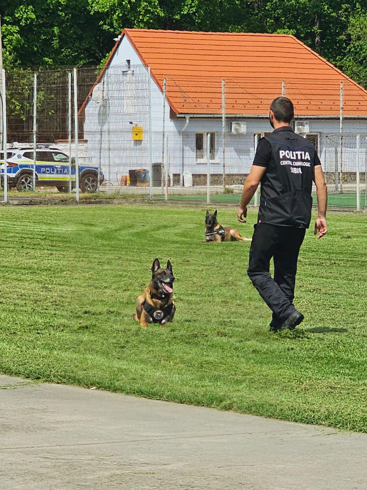 Locuitori din Sibiu cer închiderea centrului care dresează câini pentru Poliție, Jandarmerie, SRI și SPP. Proces pentru zgomotul produs noaptea de animale
