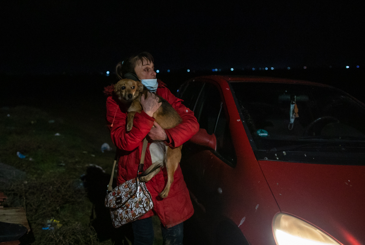 REPORTAJ. În loc de reni, Moș Crăciun a venit anul acesta cu o caravană salvatoare pentru iepe, măgărițe, câini și pisici