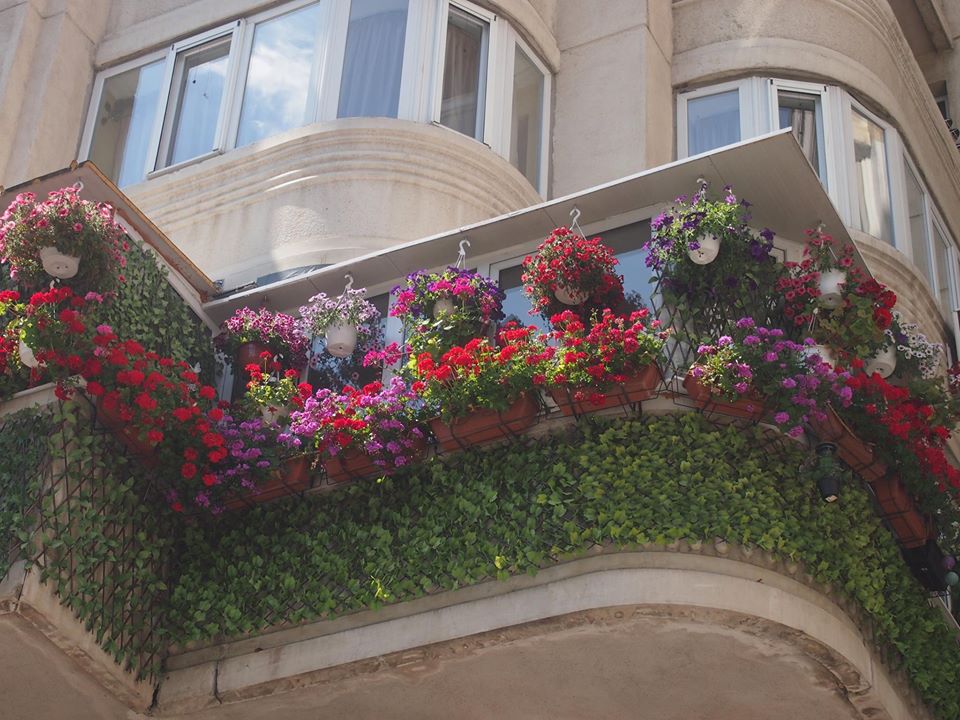 VIDEO/Cel mai frumos balcon din București, decorat de iarnă. În 2018, proprietarul promite mai multe flori