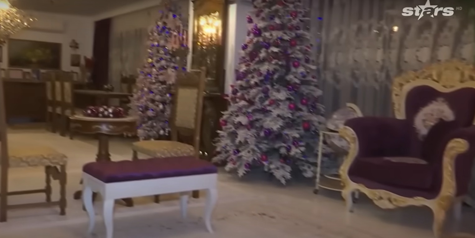 Imagini din casa Medanei și a lui Alin Oprea, decorată de Crăciun. Au împodobit mai mulți brazi, unul chiar și în bucătărie