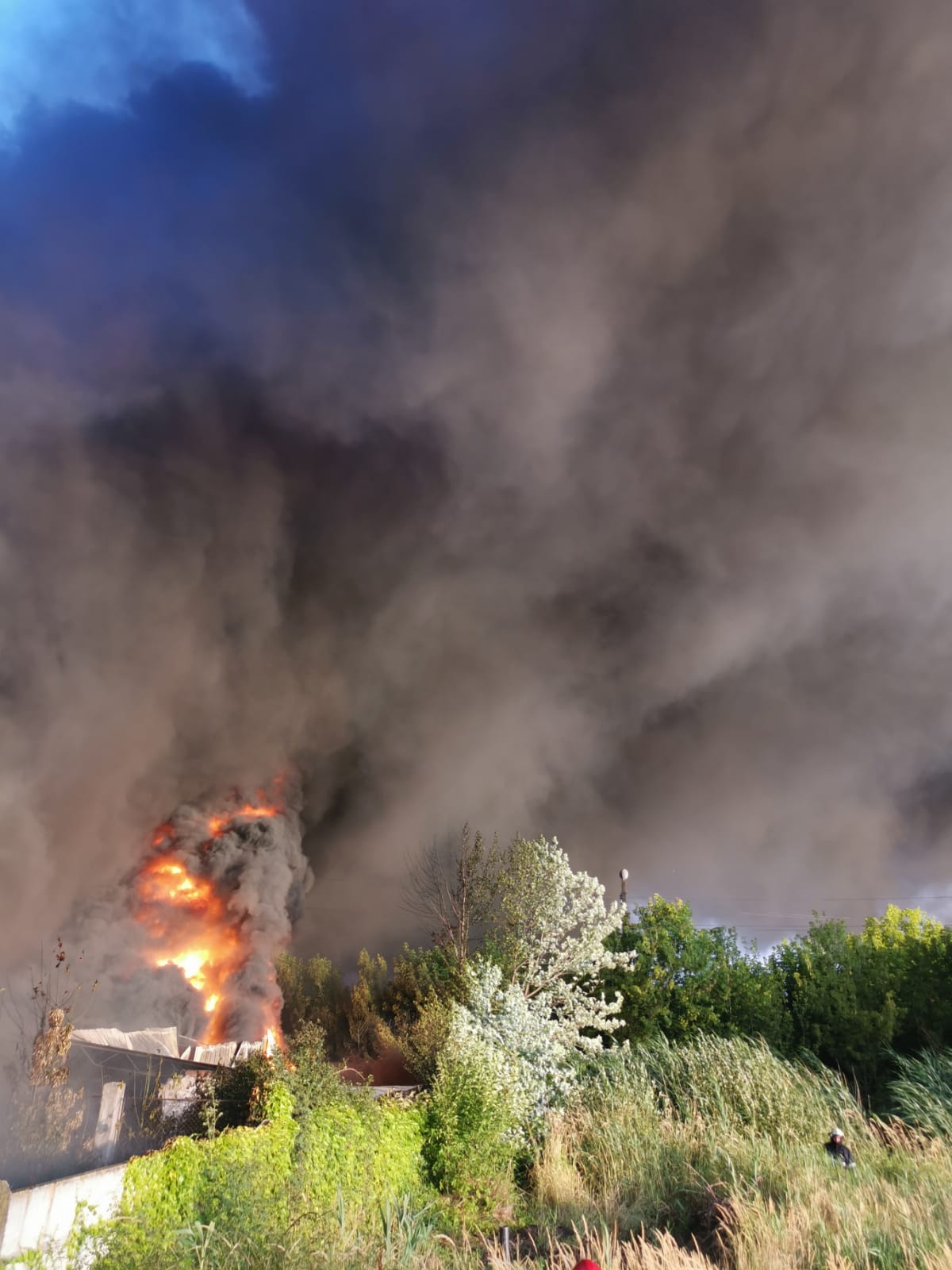 Mobilizare de forțe la incendiul de la Salonta. Zeci de pompieri se luptă cu flăcările de aproape 12 ore